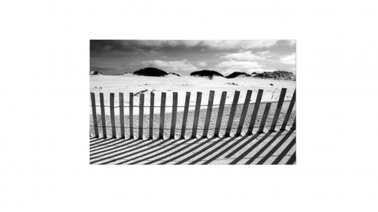 Beach black white tavla i gruppen Inredning / Dekoration / Tavlor hos Trosa Mbler (AW88-1012080)